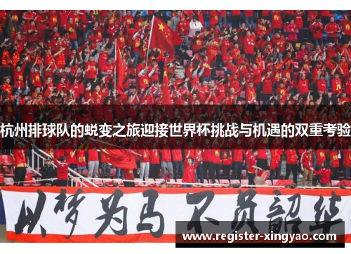杭州排球队的蜕变之旅迎接世界杯挑战与机遇的双重考验